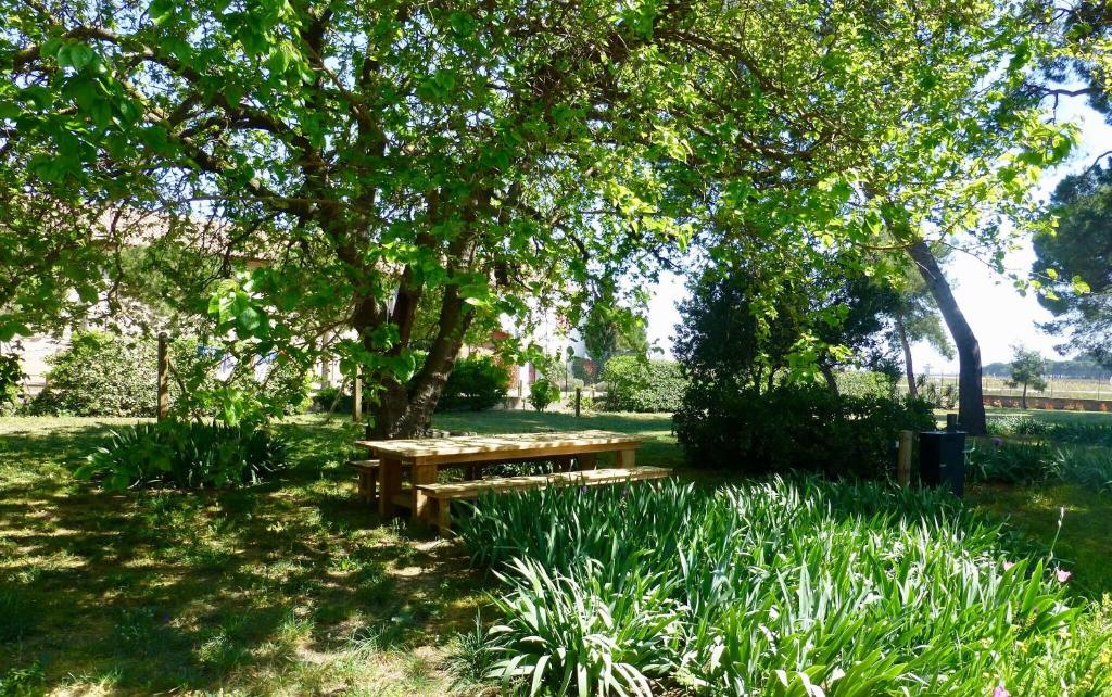 table jardin