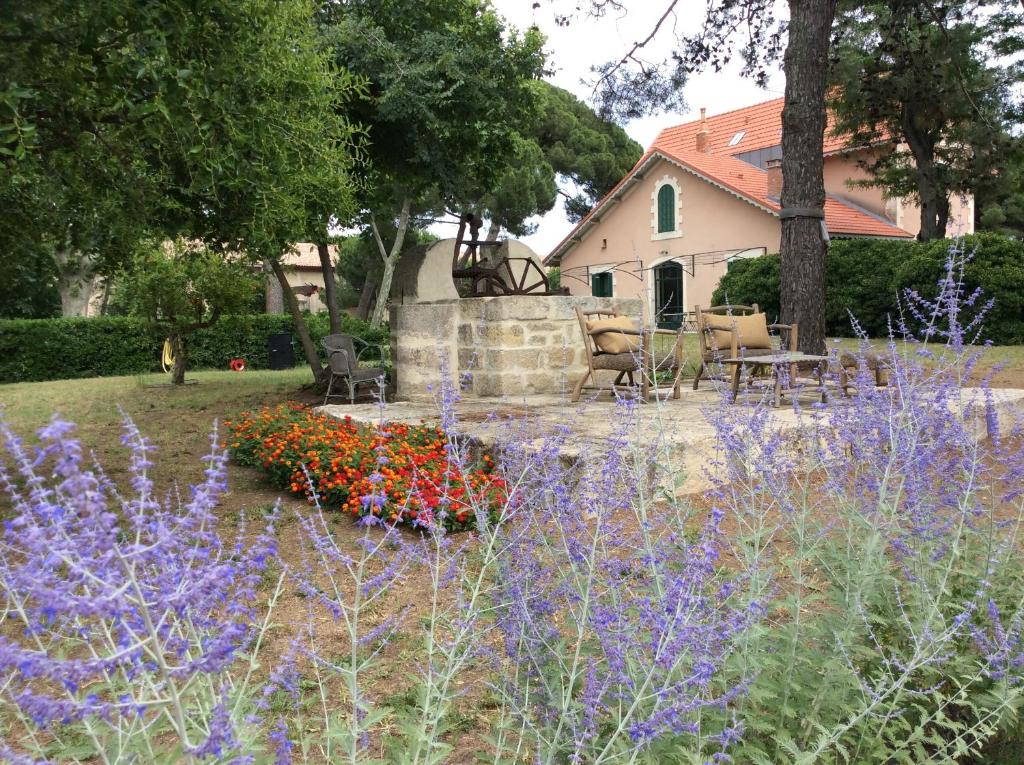 terrasse près des lavandes